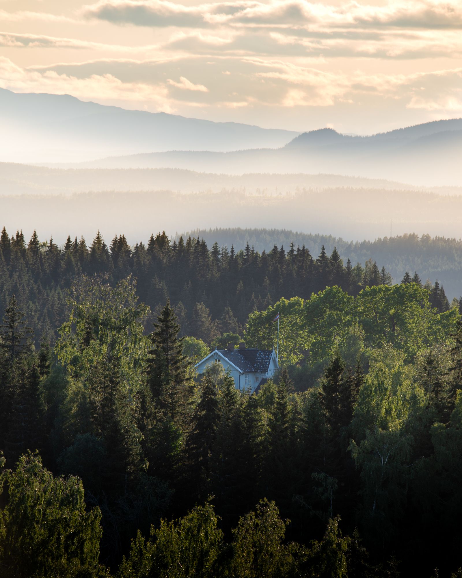 A house in the woods