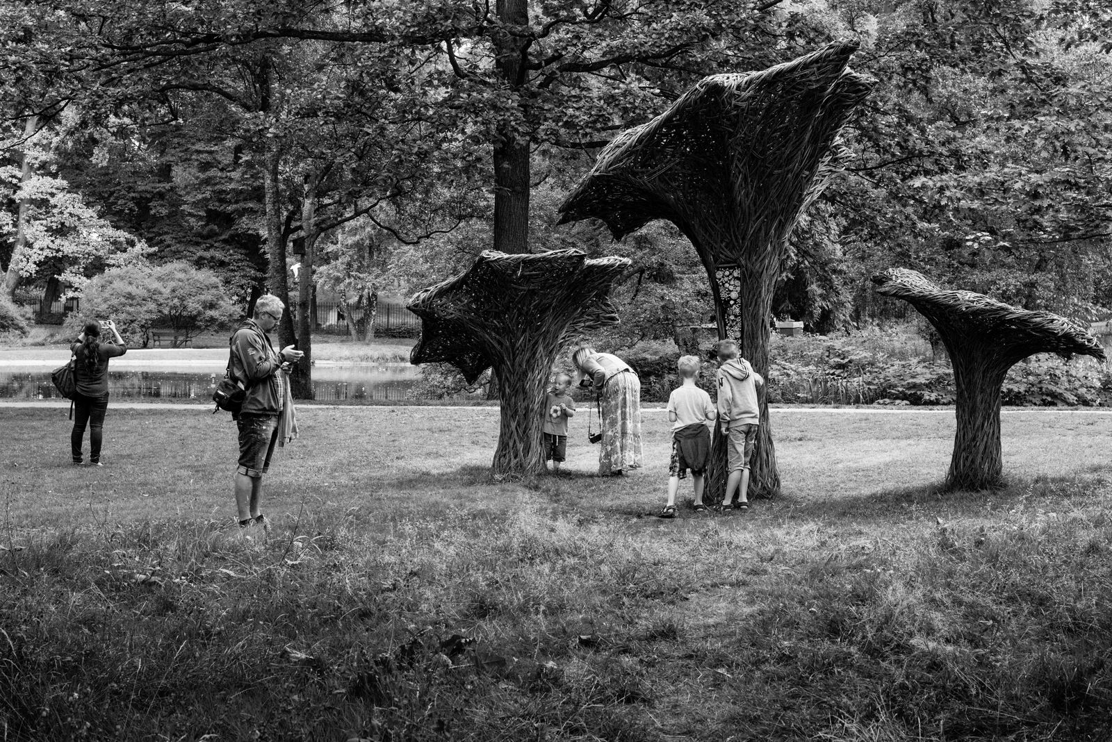 Shrooms and cellphones