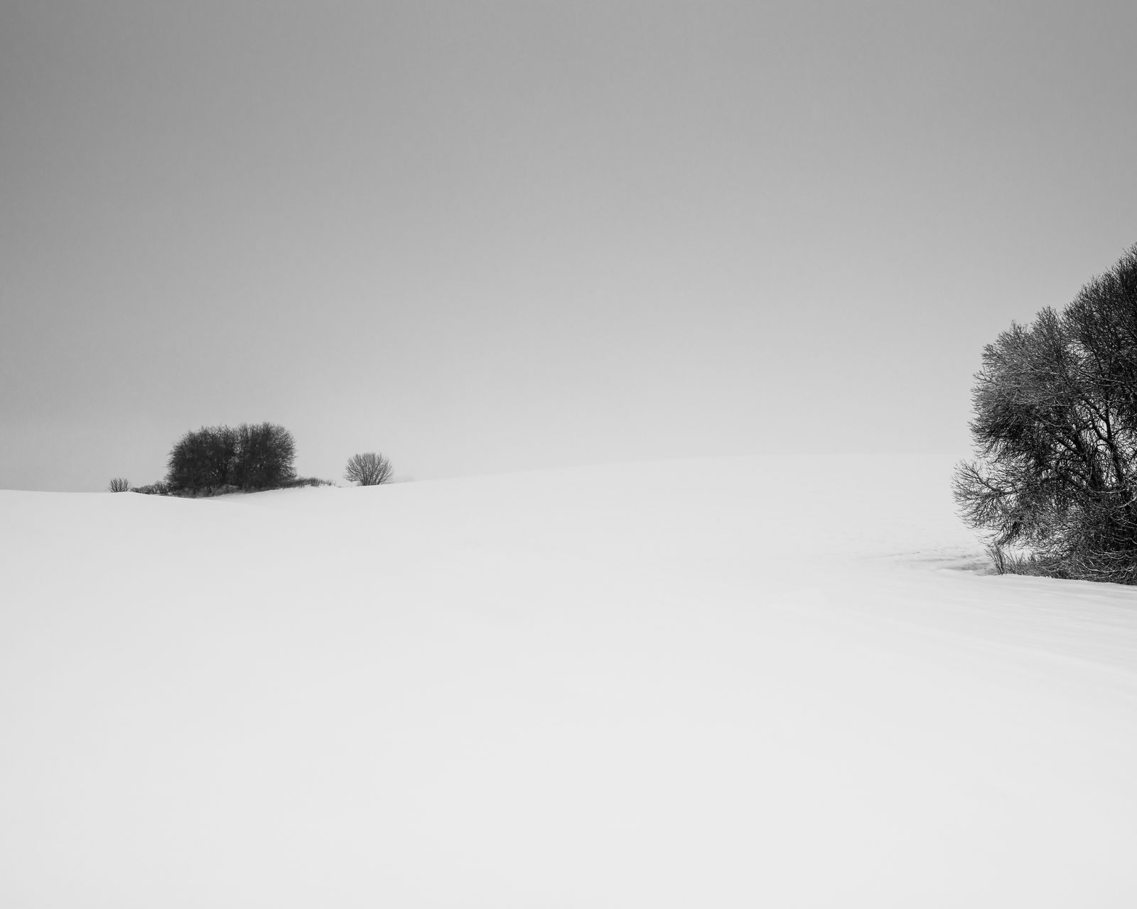 Winter landscape