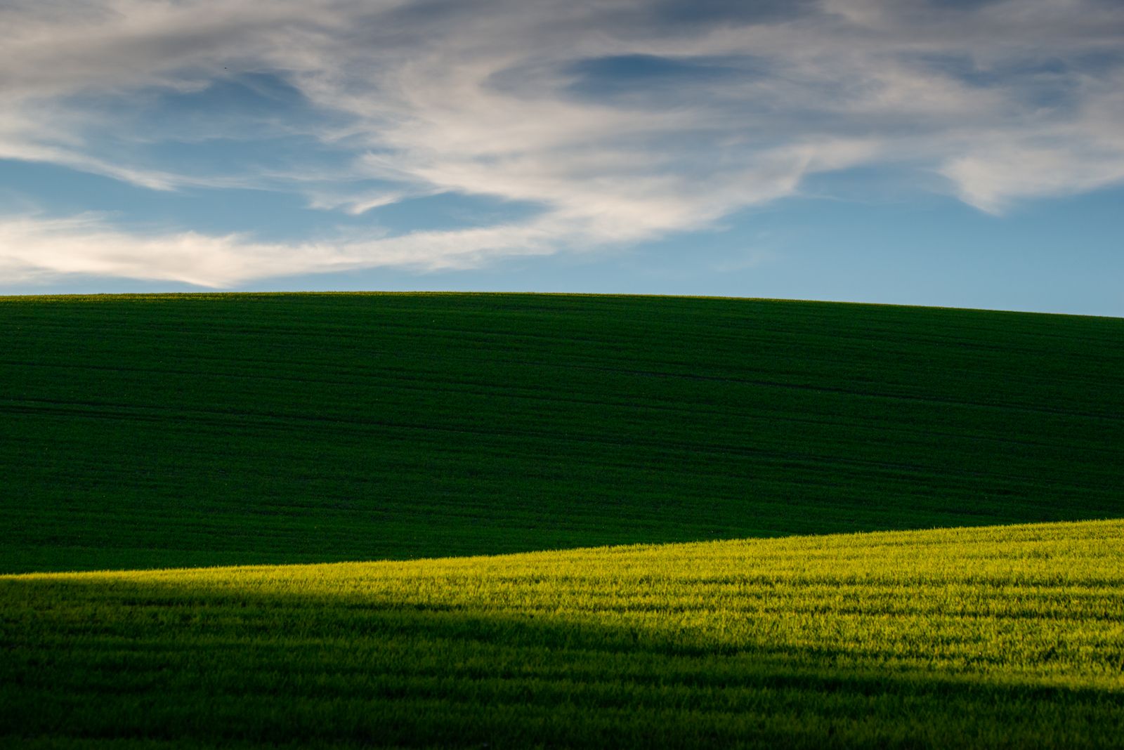 Windows style landscape